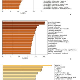 Biological Pathways And Diseases That May Be Involved In Inflammation