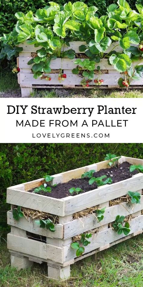 Strawberry Planter DIY Video Strawberry Planters Diy Diy