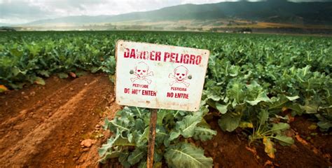 La Semana Sin Pesticidas Del 20 Al 30 De Marzo Huertos Escolares