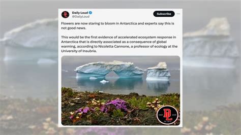 Are Flowers Blooming in Antarctica Because of Global Warming? | Snopes.com