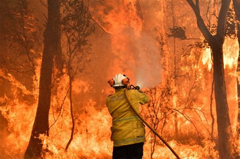 Toxic Bushfire Haze Blankets Eastern Australia