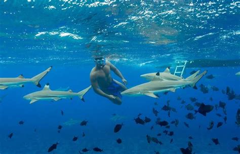 Half-Day group Snorkeling Tour in Bora Bora