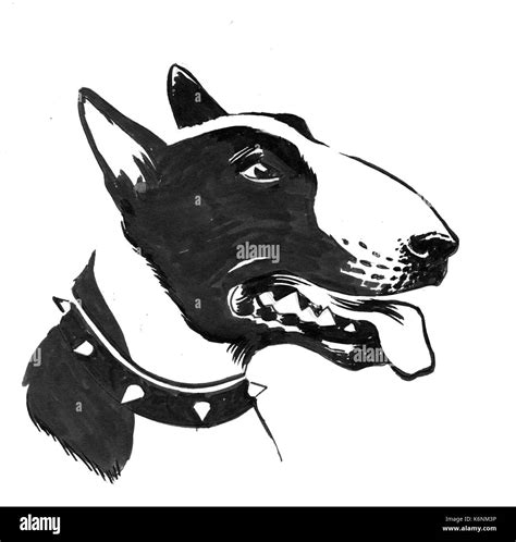 Cabeza Bull Terrier Silueta Atelier Yuwaciaojp