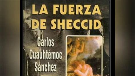 Mi Analisis Del Libro La Fuerza De Sheccid Youtube