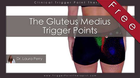 The Gluteus Medius Trigger Points and Low Back Pain ...