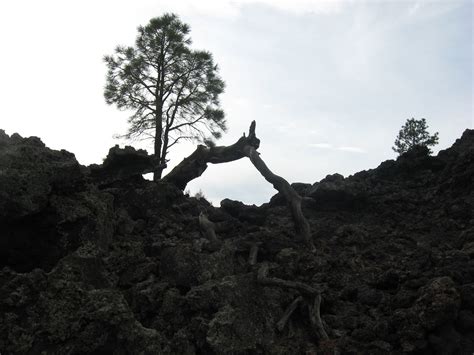 Sunset Crater Volcano National Monument. Striking landscape created by ...