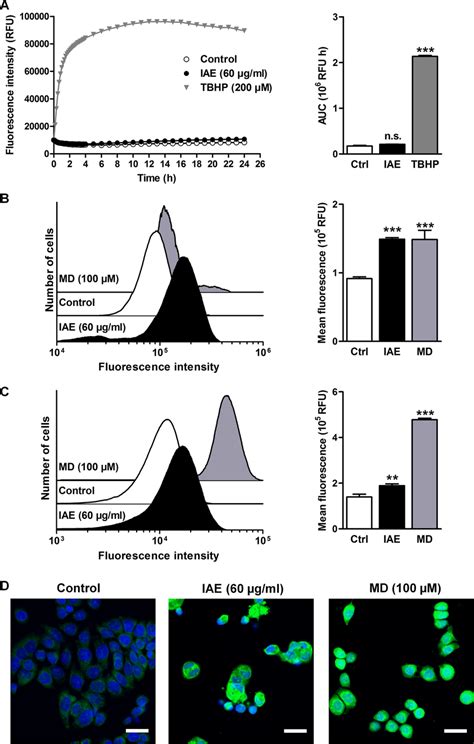 Extra And Intracellular Formation Of Reactive Oxygen Species Ros And