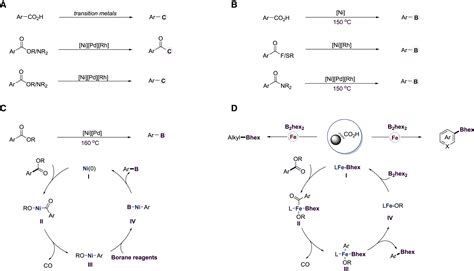 Iron Catalyzed Decarbonylative Borylation Enables The One Pot