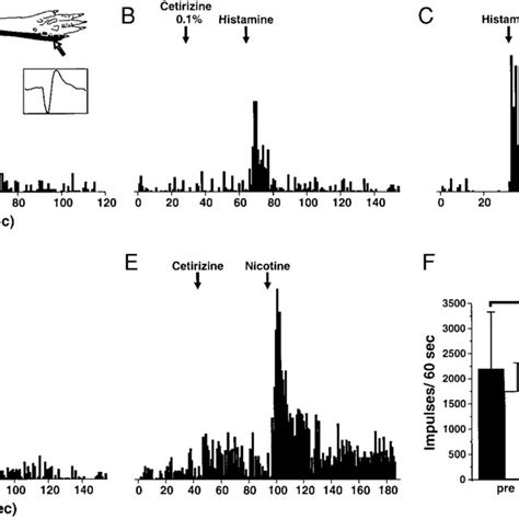 Selective Reduction By H Receptor Antagonist Cetirizine Of Neuronal