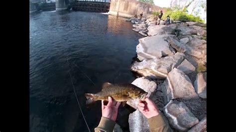 Oneida River Fishing Smallmouth Walleye And Panfish June Walleye Hunt