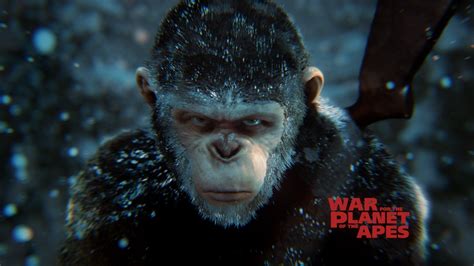 Made Caesar From War For The Planet Of The Apes Rps4dreams