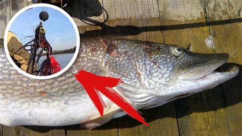 Ловля на стример - 6 ТРОФЕЙНЫХ ЩУК на СИКРЕТНУЮ приманку | FishingSib ...