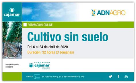 D A De Abril Curso Online Cultivo Sin Suelo Agroautentico