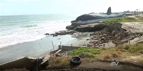 Fenómeno de El Niño el aumento del nivel del mar destruye Playa Delfín