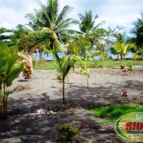 Playa Platanares Alquiler De Carros En Costa Rica