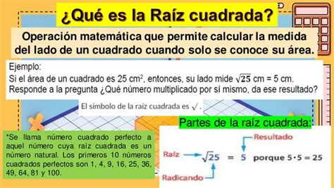 Raices Cuadradas Y Estimas Ra Ces Profe Social