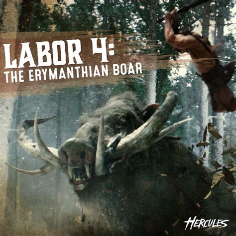 Labor Capture The Erymanthian Boar One Of Hercules Most Formidable