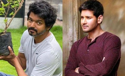 Vijay To Not Team Up With Mahesh Babu For Thalapathy Movie