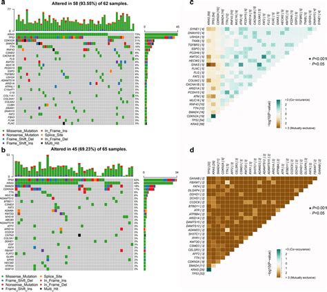 The Mutation Landscape Of Patients With High And Low Tmb Scores A B