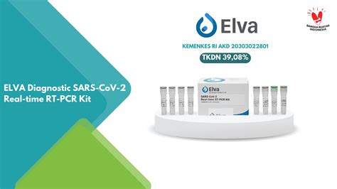 Elva Diagnostic SARS CoV 2 Real Time RT PCR Kit Kalgen DNA