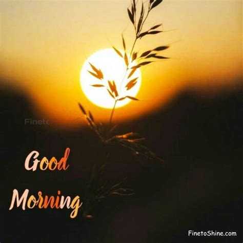 good morning images  finetoshine