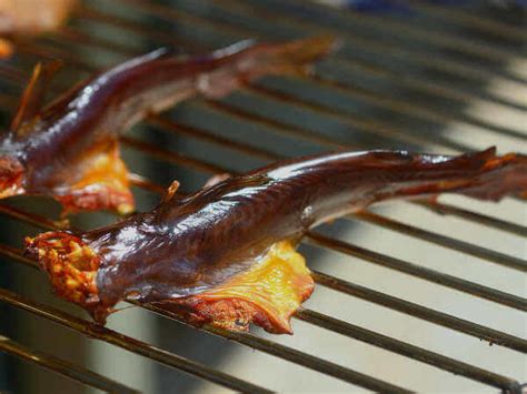 Easy Smoked Catfish Recipe Smoker Cooking