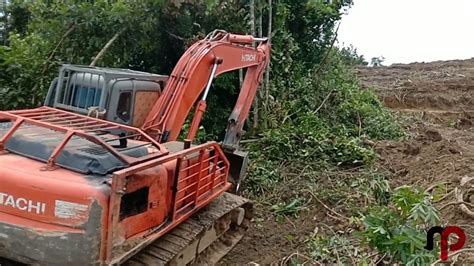 LAND CLEARNG DI PERKEBUNAN KELAPA SAWIT MENGGUNAKAN EXCAVATOR YouTube