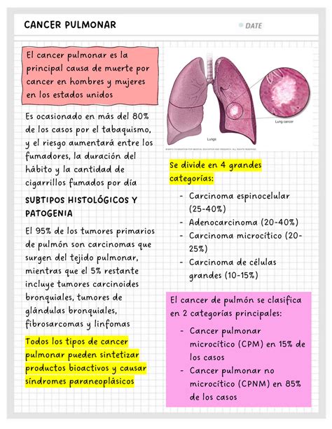 Cancer de pulmón CANCER PULMONAR El cancer pulmonar es la principal