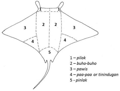 [DIAGRAM] Origami Manta Ray Diagram - MYDIAGRAM.ONLINE