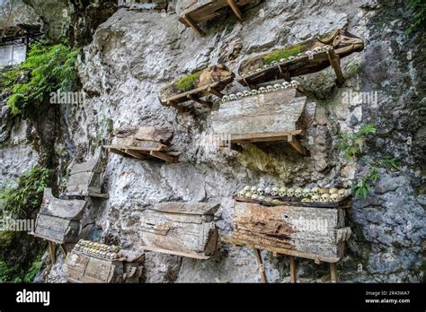 Toraja funeral ceremony, Tana Toraja, Sulawesi, Indonesia Stock Photo ...