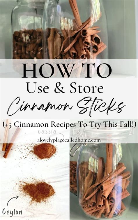 HOW TO USE AND STORE CINNAMON STICKS (+5 cinnamon recipes to try this ...