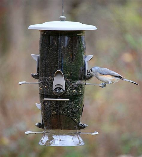 Abundance Songbird Feeder