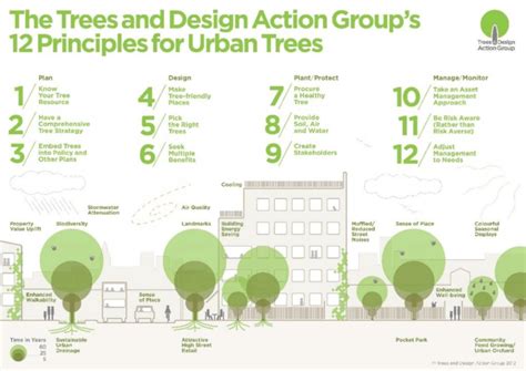 Principles For Urban Trees From Trees In The Townscape Download