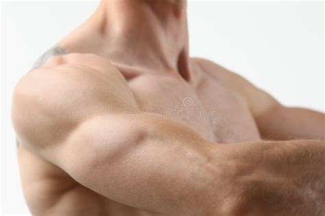 Man Shoulder Arm Biceps Muscle Stock Image Image Of Parts Body