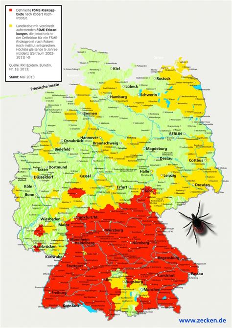 So Sch Tzen Sie Sich Richtig Vor Zecken Und Borreliose