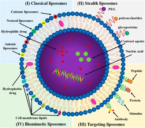 Liposomes Krishgen Biosystems