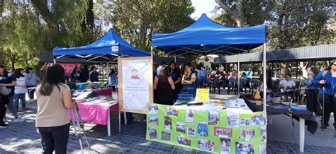 Fotos Las Escuelas Inclusivas Celebraron La Semana De La Educaci N