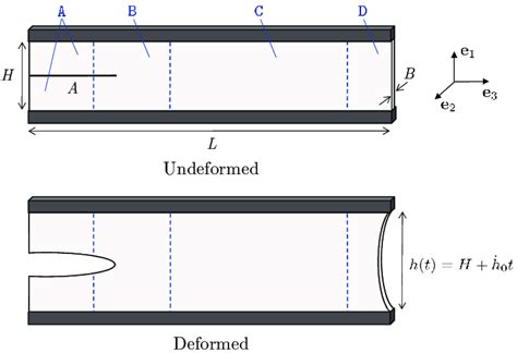 Schematic Of The Pure Shear Test For A Viscoelastic Elastomer Carried Download Scientific