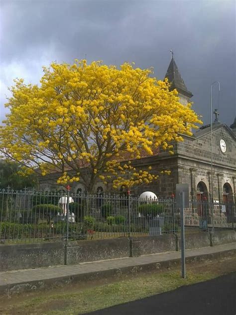 Andrea Hidalgo Castro En Mi Hermoso Pueblo San Joaquin De Flores