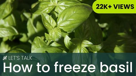 How To Freeze Basil The Best Method For Flavorful Basil Youtube