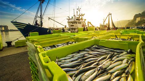 This Country Eats More Seafood Than Any Other In The World