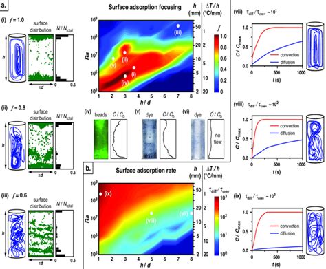 Regimes Of Targeted Surface Enrichment And Accelerated Adsorption