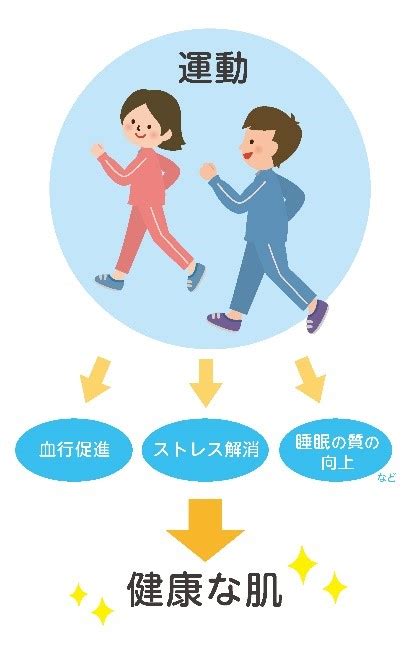 【医師監修】運動不足が肌に与える影響とは？乾燥肌の原因を知りしっかり対策しよう！｜乾燥肌治療薬ヒルマイルド｜健栄製薬