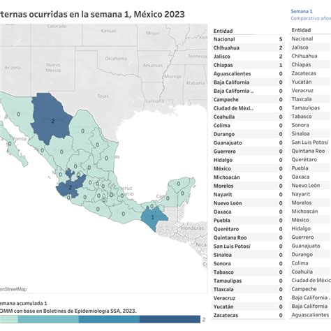 Muertes Maternas Semana Epidemiol Gica Observatorio De Mortalidad