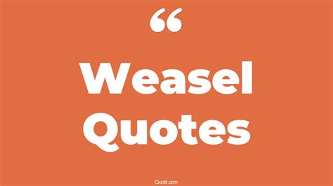 45+ Remarkable Weasel Quotes That Will Unlock Your True Potential