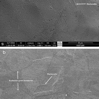 A SEM Micrograph Showing The Athermal Martensite Formation In Sample