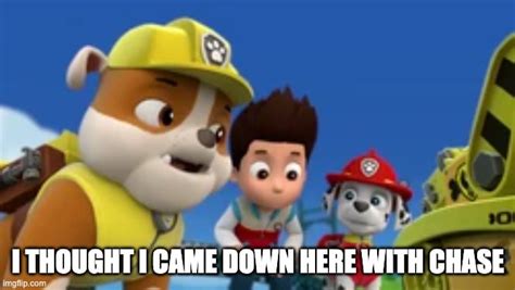 more paw patrol memes : PawPatrol