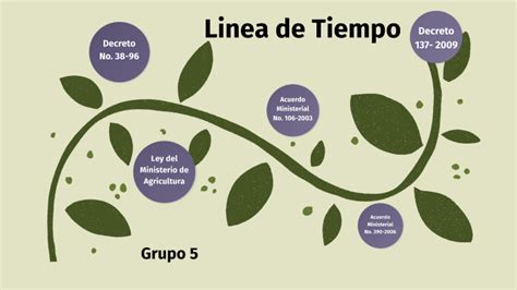 Linea De Tiempo Legislación By Caal Mirnita On Prezi