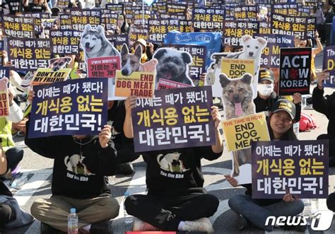 개 식용 종식은 국격의 문제동물단체 국회 앞서 특별법 처리 촉구 네이트 뉴스