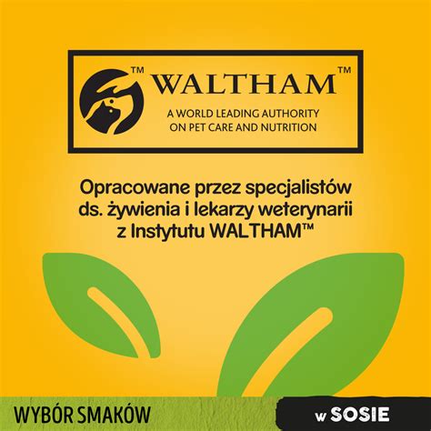 PEDIGREE Adult saszetka 40x100 g Mix Smaków z warzywami w sosie